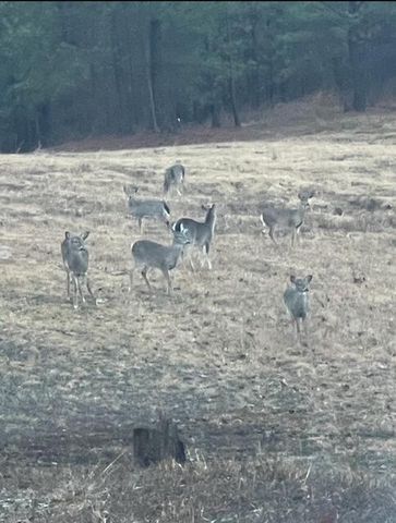 332 Harris Road SE, Old Fort, TN 37362