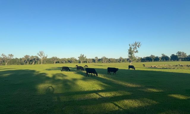 NW 160 AVENUE, Morriston, FL 32668