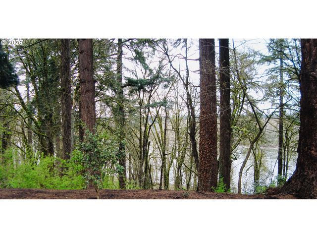 1393 BUCK St, West Linn, OR 97068