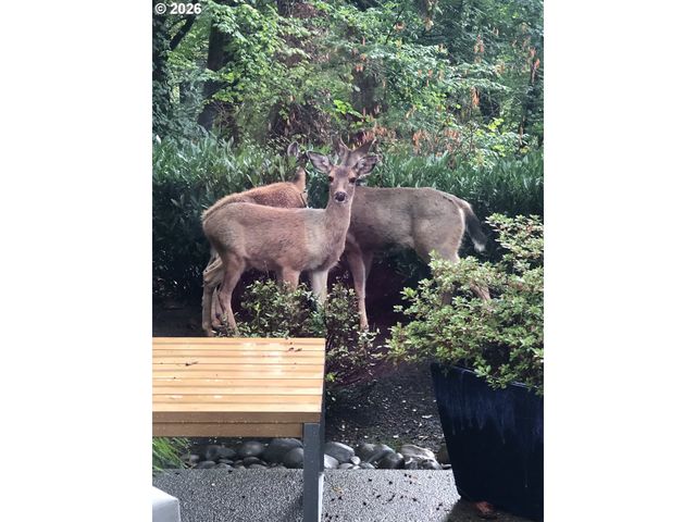 1393 BUCK St, West Linn, OR 97068