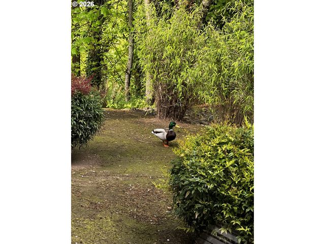 1393 BUCK St, West Linn, OR 97068
