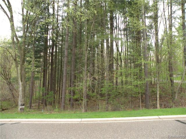 Lot 33 ALTA VISTA Drive, Hamburg Twp, MI 48169