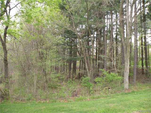 Lot 33 ALTA VISTA Drive, Hamburg Twp, MI 48169