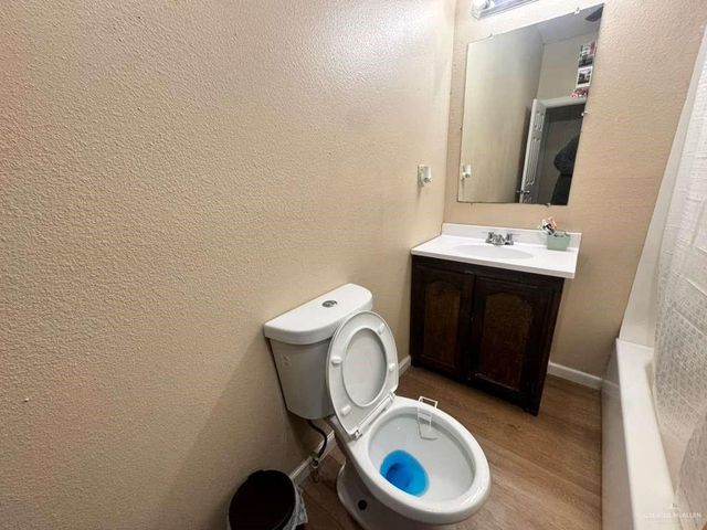 8926 Vista De Palmas Drive, Monte Alto, TX 78539