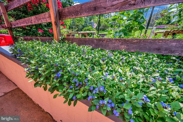 503 MACOY AVE, Culpeper, VA 22701