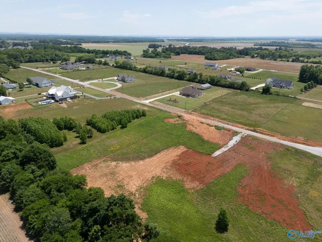 23713 Old Homeplace Way, Athens, AL 35613