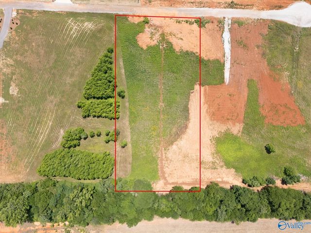 23713 Old Homeplace Way, Athens, AL 35613