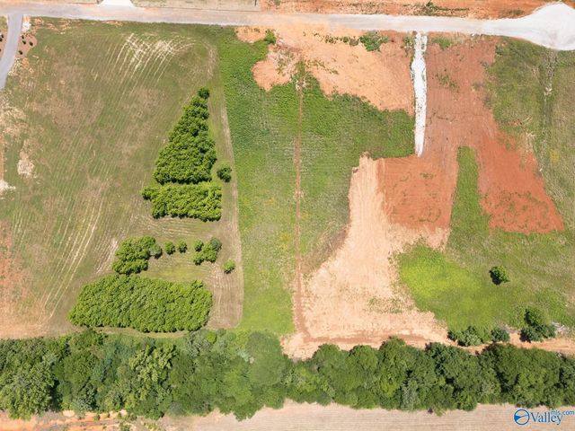 23713 Old Homeplace Way, Athens, AL 35613
