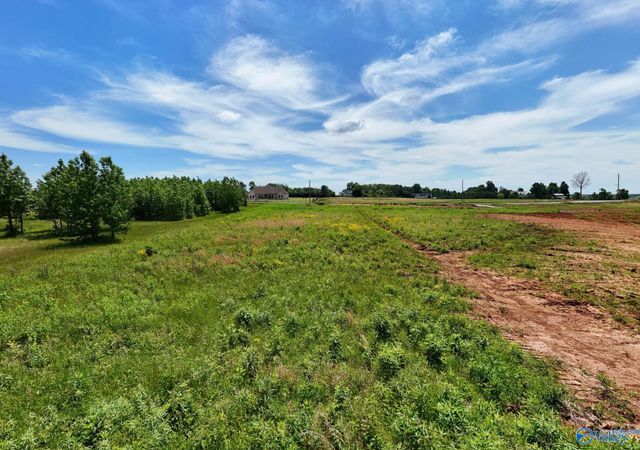 23713 Old Homeplace Way, Athens, AL 35613