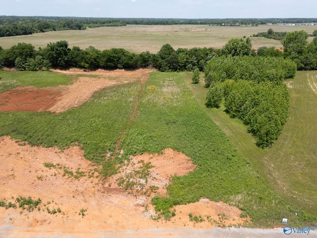 23713 Old Homeplace Way, Athens, AL 35613