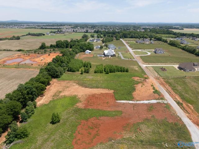 23713 Old Homeplace Way, Athens, AL 35613