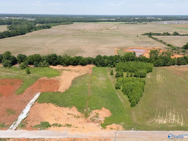23713 Old Homeplace Way, Athens, AL 35613