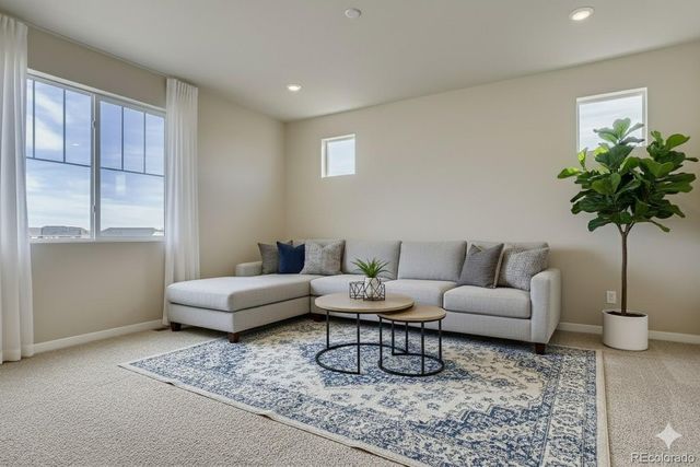 13767 Daffodil Way, Parker, CO 80134