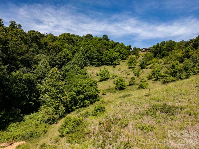 999 Murphy Cove Road, Candler, NC 28715