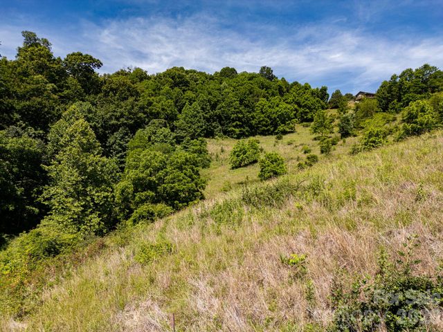 999 Murphy Cove Road, Candler, NC 28715