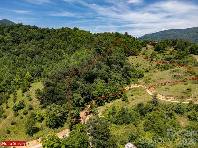 999 Murphy Cove Road, Candler, NC 28715