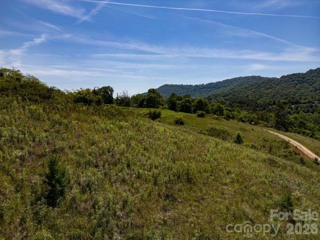999 Murphy Cove Road, Candler, NC 28715