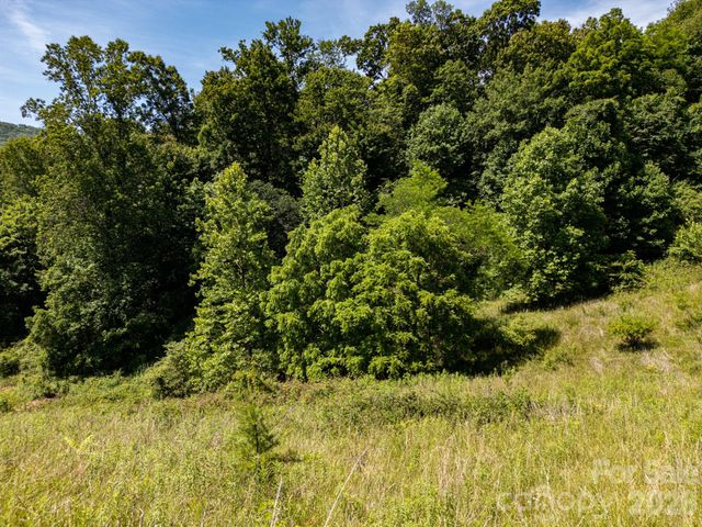 999 Murphy Cove Road, Candler, NC 28715
