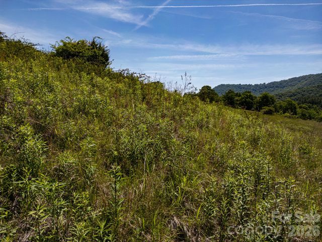 999 Murphy Cove Road, Candler, NC 28715