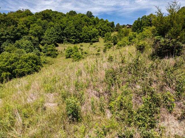 999 Murphy Cove Road, Candler, NC 28715