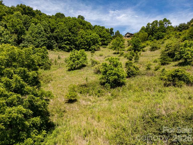 999 Murphy Cove Road, Candler, NC 28715
