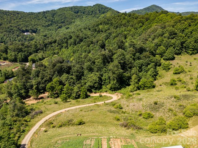 999 Murphy Cove Road, Candler, NC 28715