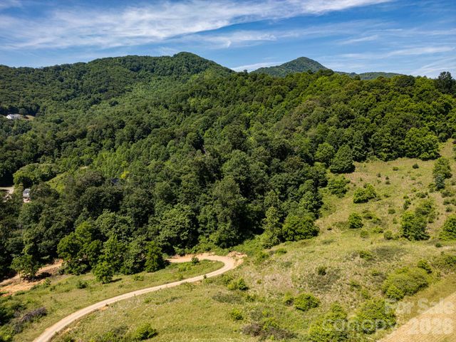999 Murphy Cove Road, Candler, NC 28715