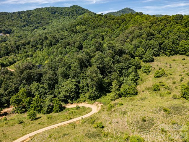 999 Murphy Cove Road, Candler, NC 28715