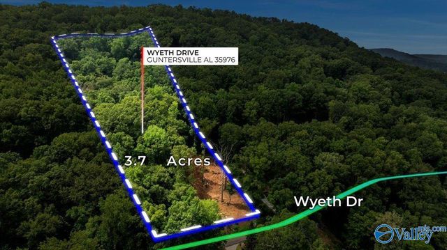 3.7 acres Wyeth Drive, Guntersville, AL 35976
