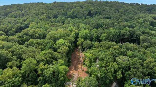 3.7 acres Wyeth Drive, Guntersville, AL 35976