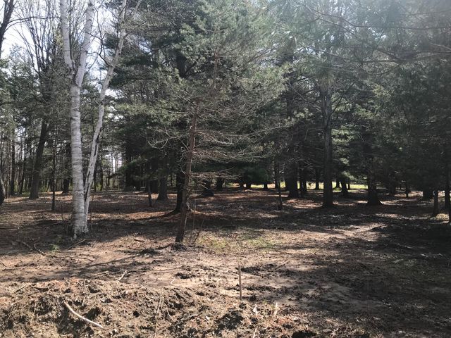 lot 1 Creekwood Drive, South Haven, MI 49090