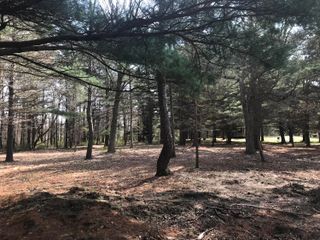 lot 1 Creekwood Drive, South Haven, MI 49090