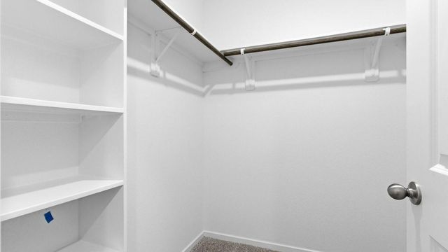 4017 Steer Stable Lane, League City, TX 77573