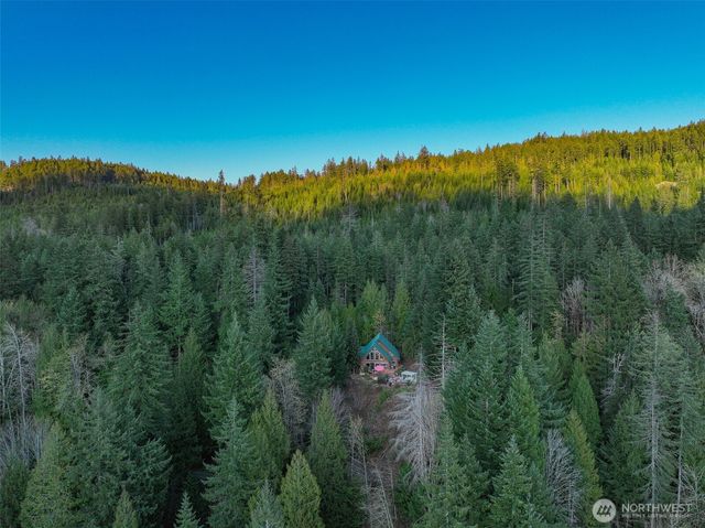 6323 N Lake Cushman Road, Hoodsport, WA 98548