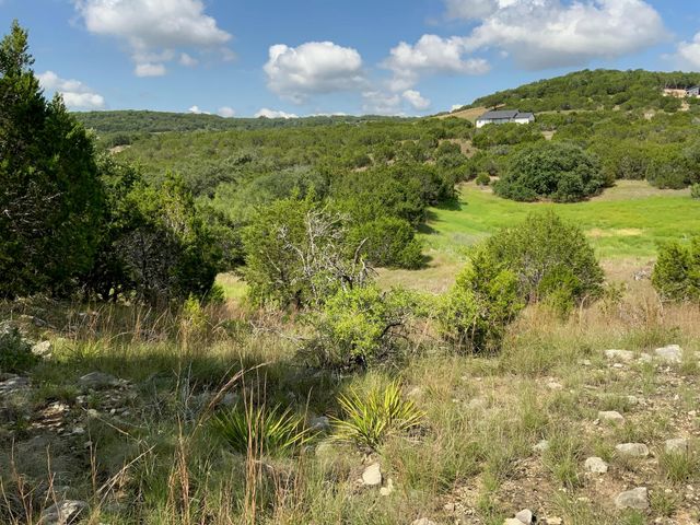 Lot 133 Spring Hollow DR, Bertram, TX 78605