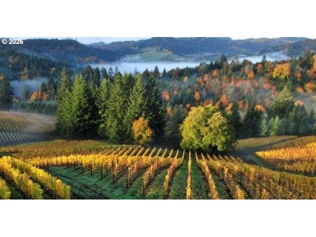 1722 N KALAPUYA Pl, Lafayette, OR 97127