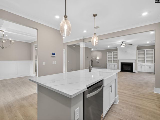 20 Elk Run Court, Chapin, SC 29036