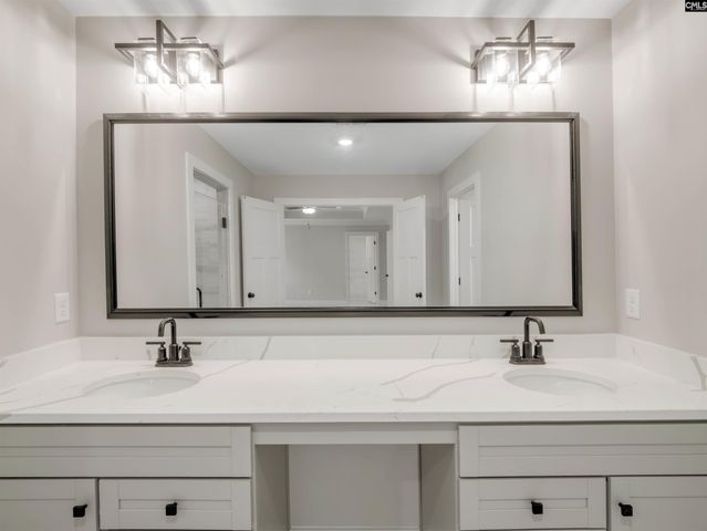 20 Elk Run Court, Chapin, SC 29036