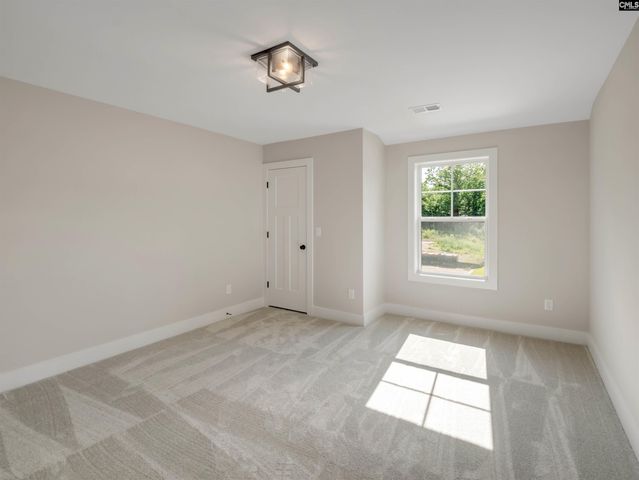 20 Elk Run Court, Chapin, SC 29036