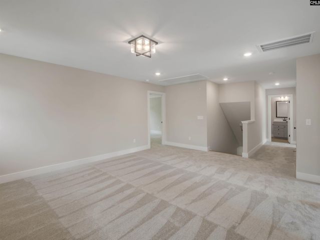 20 Elk Run Court, Chapin, SC 29036