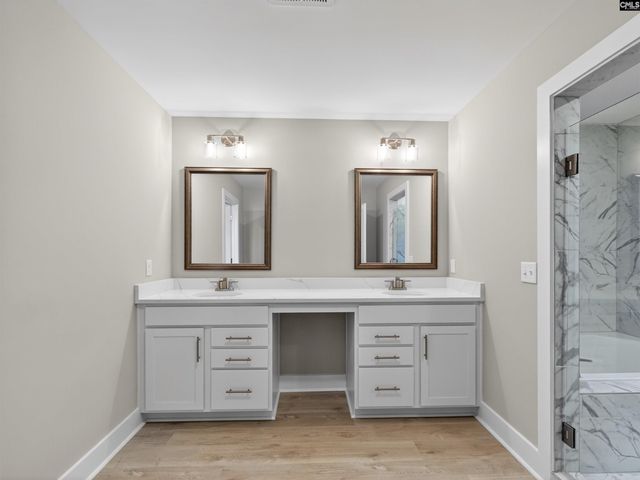 20 Elk Run Court, Chapin, SC 29036