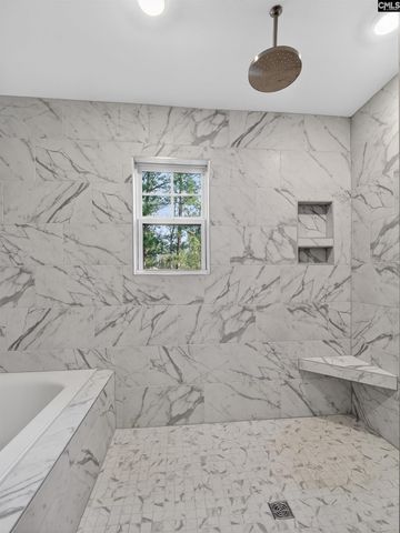 20 Elk Run Court, Chapin, SC 29036