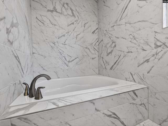 20 Elk Run Court, Chapin, SC 29036