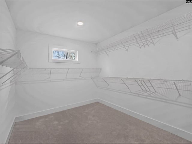 20 Elk Run Court, Chapin, SC 29036