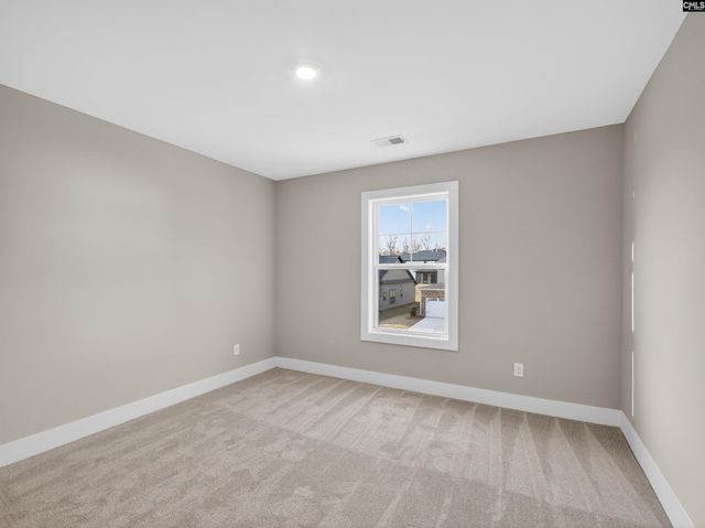 20 Elk Run Court, Chapin, SC 29036