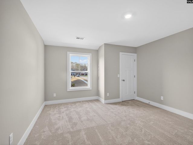 20 Elk Run Court, Chapin, SC 29036