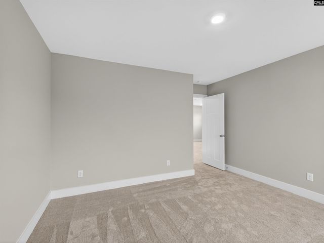 20 Elk Run Court, Chapin, SC 29036