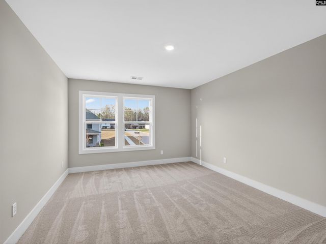 20 Elk Run Court, Chapin, SC 29036