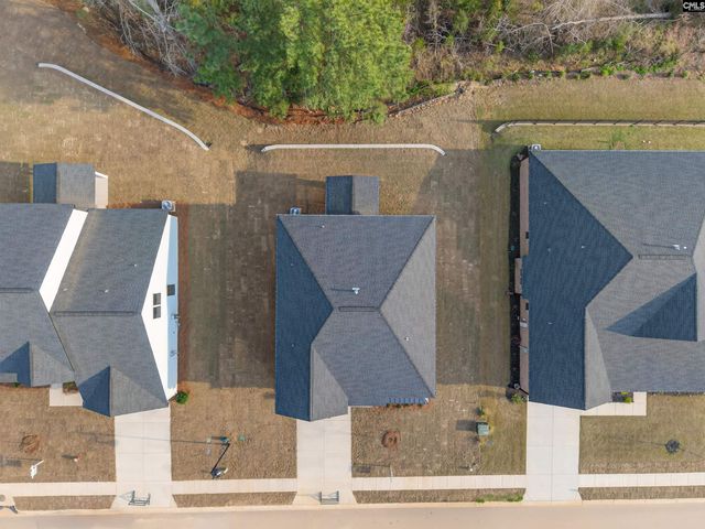 20 Elk Run Court, Chapin, SC 29036