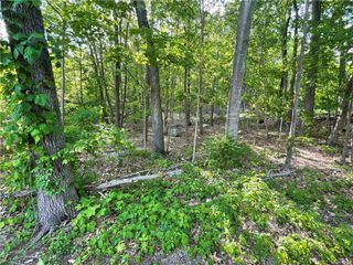 75 Birch Paper Trail, Carmel, NY 10512